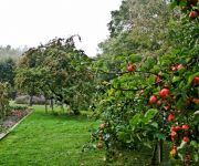 Fruitdagen, 27 & 28 september 2019