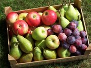 Fruitweekend