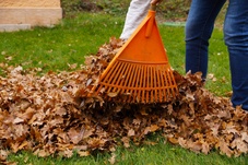 15 tuintips voor oktober