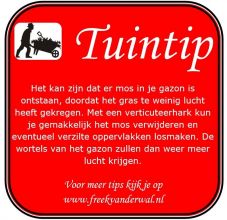 Tuintip