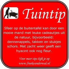 Tuintip