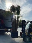 Laden en Lossen