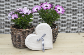 Potten