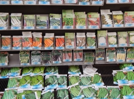 Bloem- en groentezaden