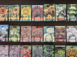 Bloem- en groentezaden